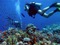 Tour en Hurghada