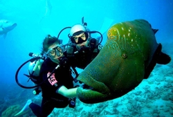 Excursión de Buceo en Hurgada de puerto Safaga
